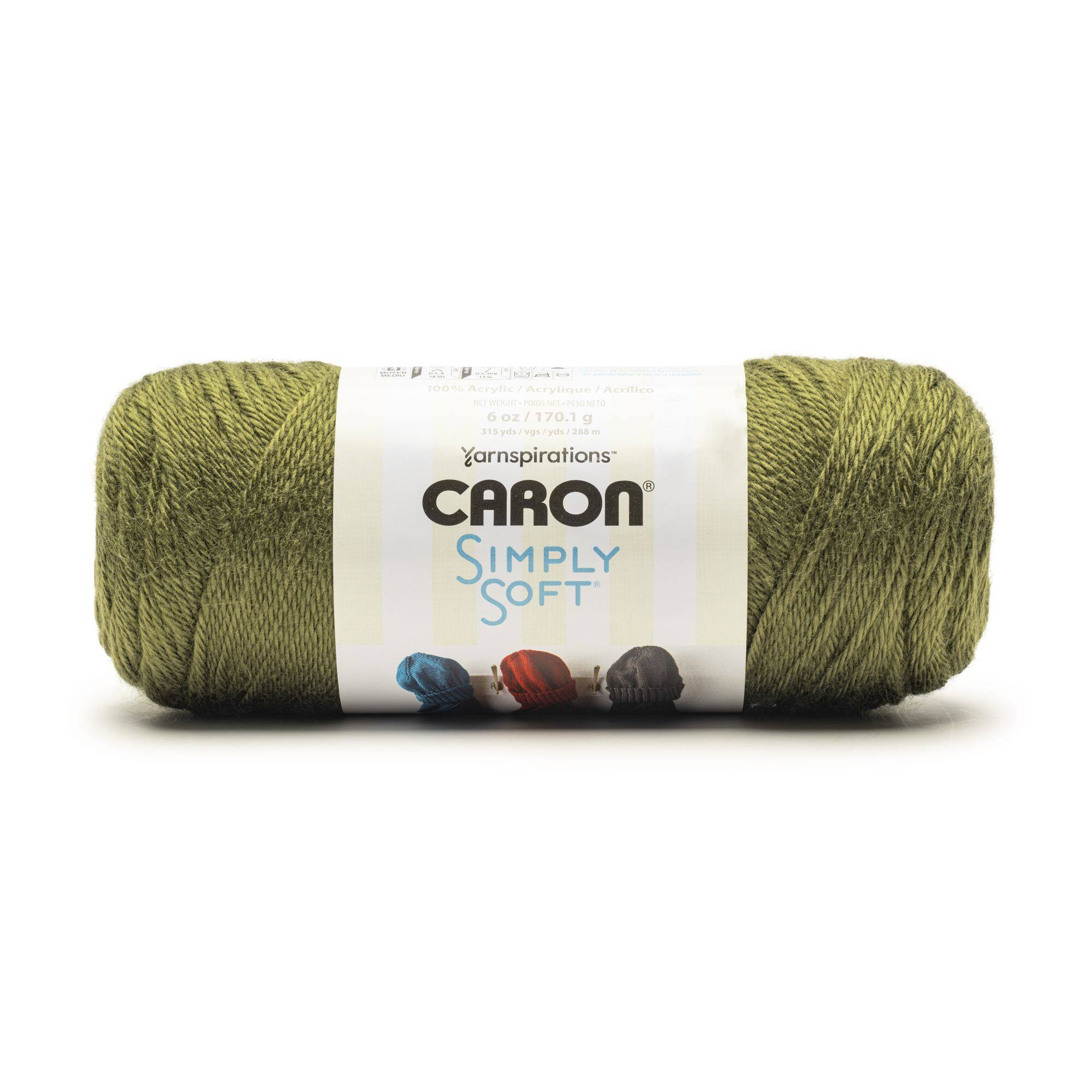 15 Pack: Caron® Simply Soft® Solid Yarn